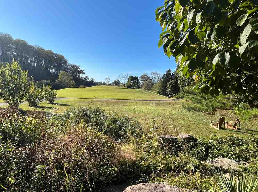 Secret Serenity: Discovering Alexandria’s Green Spring Gardens